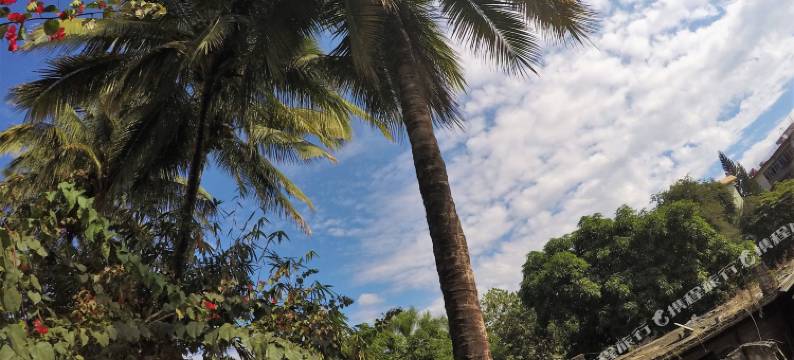 景洪泰逗青年旅舍图片
