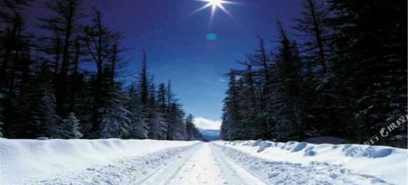 漠河北方雪境民宿(北红村店)图片