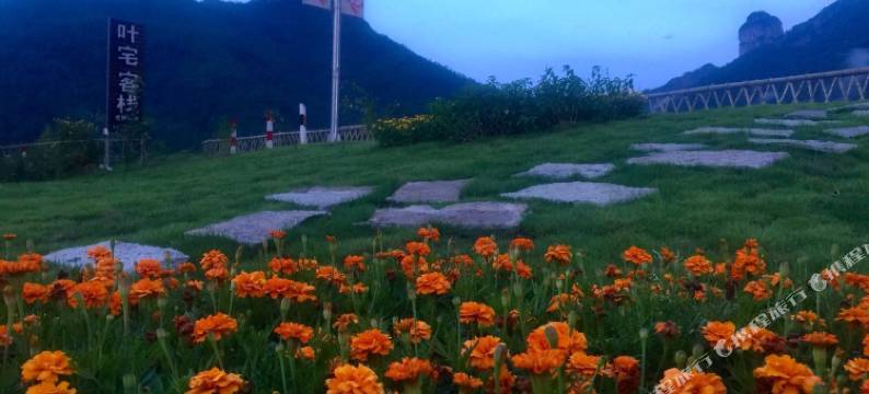 仙居叶宅客栈图片