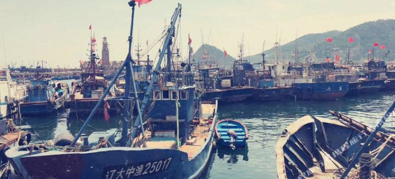 大连天天国际青年旅社(西安路香工街地铁站店)图片