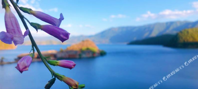 泸沽湖江南雅居客栈图片