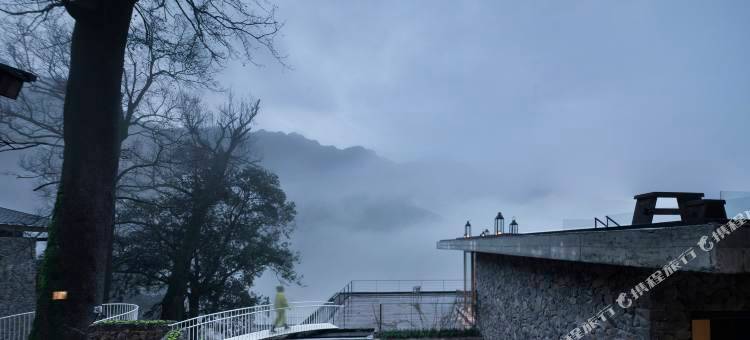 原舍揽树(松阳店)图片