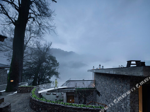 原舍揽树(松阳店)