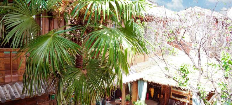 红尘净土精品连锁客栈(丽江文治巷店)图片