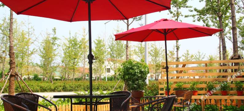 梧桐树精品酒店(青岛农业大学地铁站店)图片