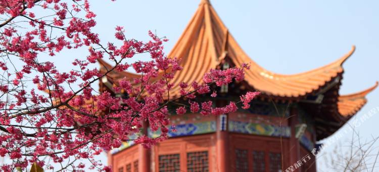 赣州五龙客家风情园龙安围酒店图片