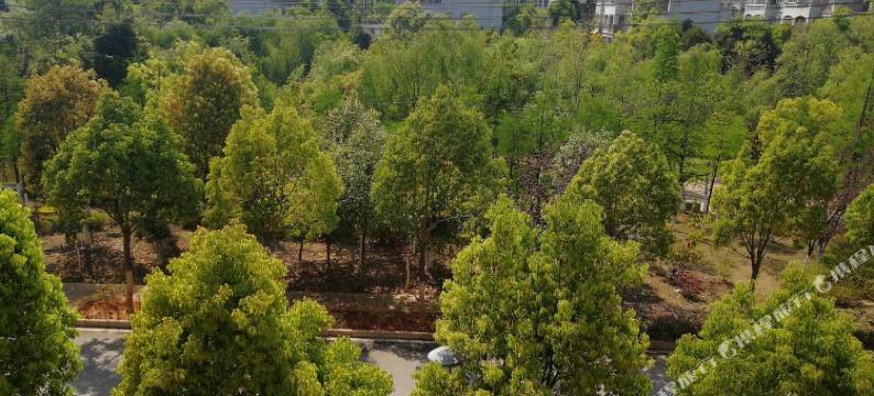 昆明民宿之家图片