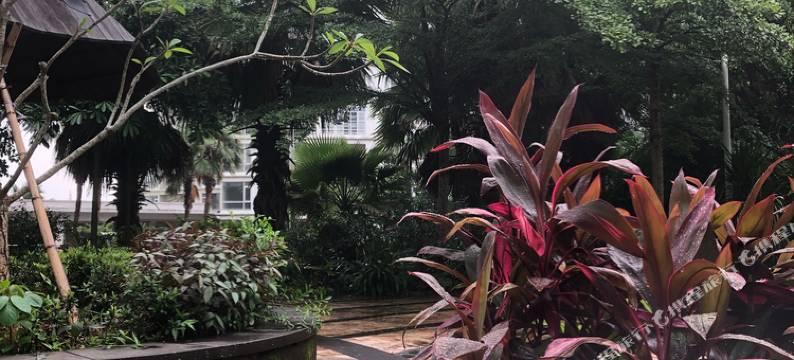 海口假日海滩温暖别墅图片