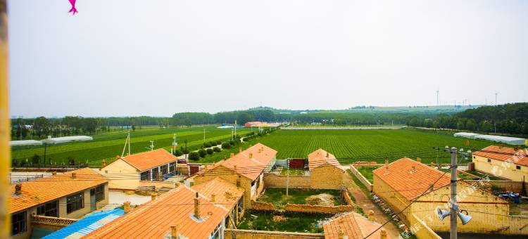 途窝假日庄园(张北草原天路野狐岭店)图片