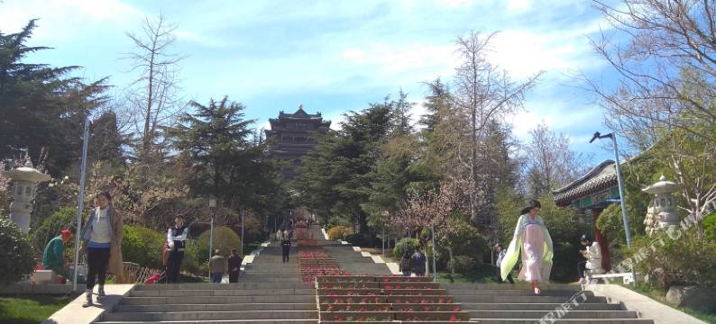 威海yuyi668公寓图片