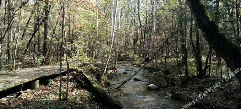 林口双福居民宿图片