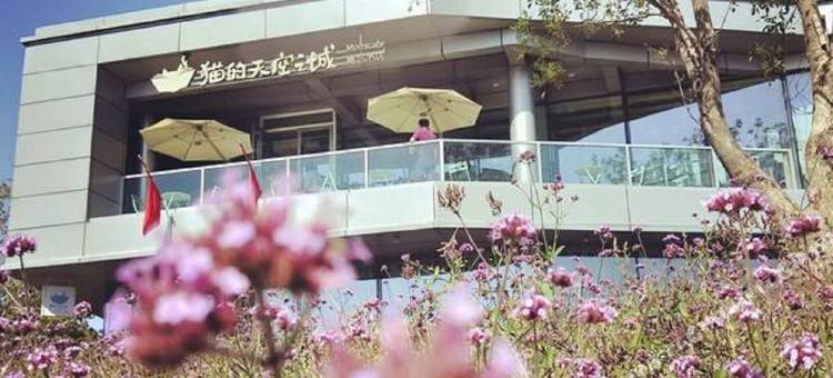 秦皇岛蜂蜂亲子民宿(4号店)图片