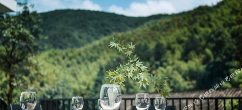 莫干·游子问茶院图片