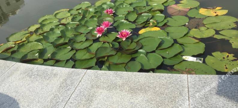 乳山银滩民宿图片