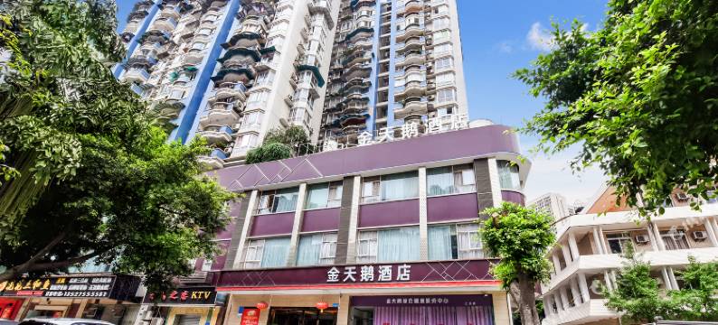 重庆金天鹅精品酒店图片