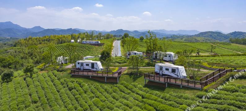 诸暨春风十里星空帐篷图片