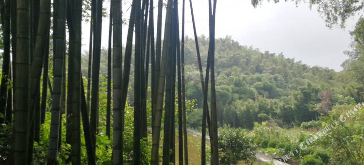 蜀南竹海翠竹轩休闲山庄图片