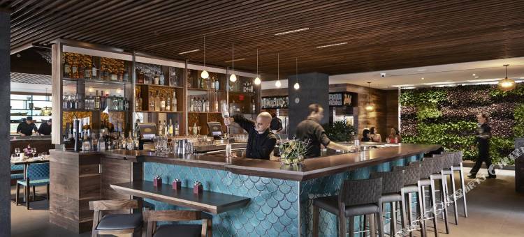 迈阿密文华东方酒店(Mandarin Oriental, Miami)图片
