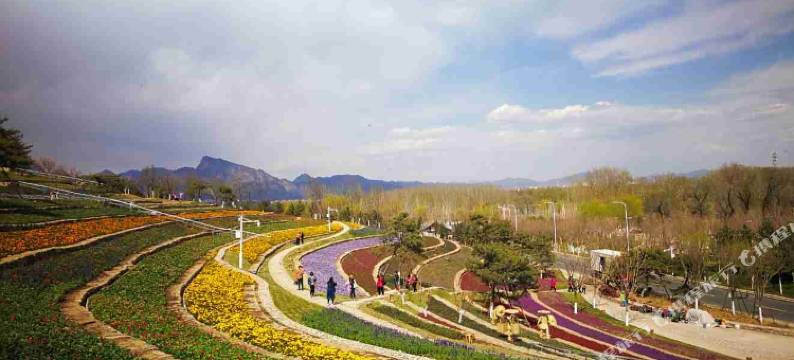 北京园中苑民宿图片