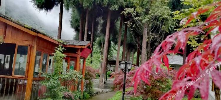 西岭一号酒店图片
