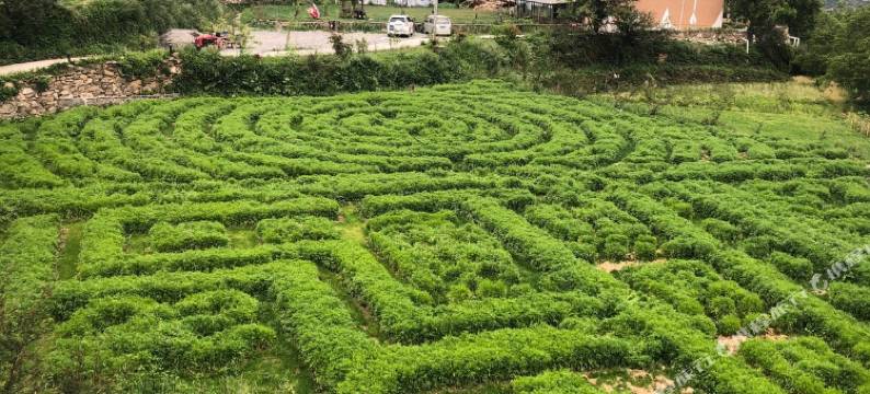 丹巴卡帕玛庄园图片