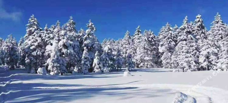 雪谷·老乡Family漫雪物语秘境美宿(雪谷风景区店)图片