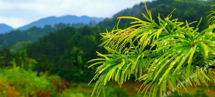 霍山云下山舍度假山庄图片
