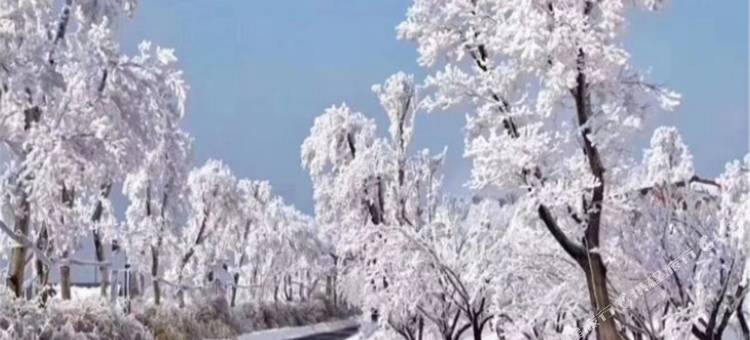 湖州安吉旅游～见山民宿(大外线分店)图片