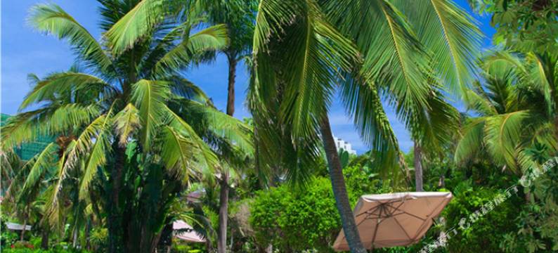 三亚大卫传奇度假酒店(凤凰机场店)图片