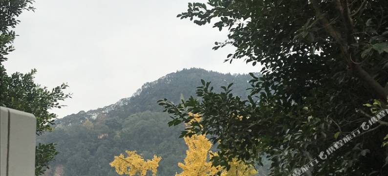 阆中烟雨江畔民宿图片