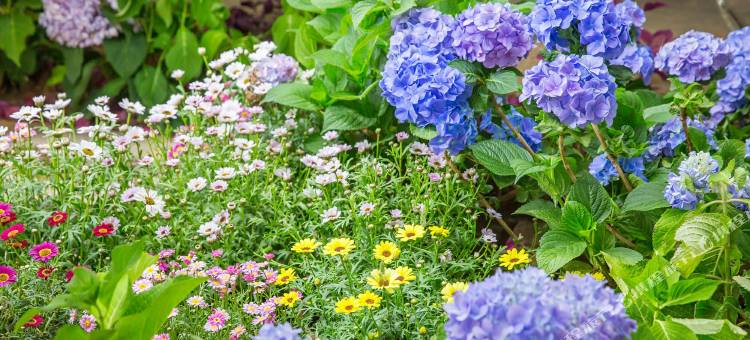 丽江古城自然醒客栈(忠义市场店)图片