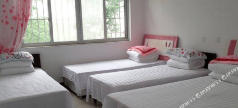 天津张广成农家院图片