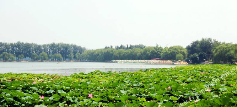 如家商旅酒店(北京丽泽商务区地铁站店)图片