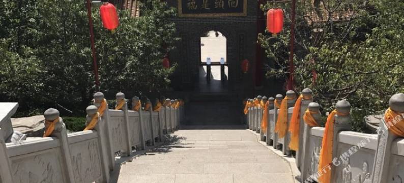 东阿泰悦大酒店图片