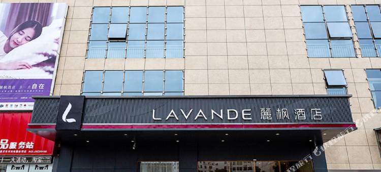 麗枫酒店(永新步步高时代广场店)图片