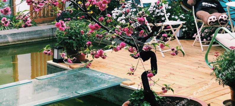 安意花熙庭院度假客栈(丽江古城店)图片