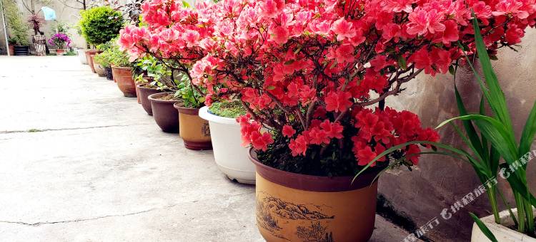 威宁鸿发宾馆图片