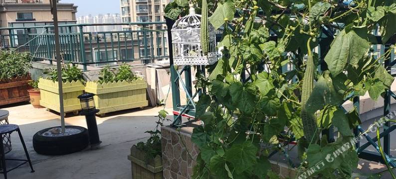 烟台大溪地养马岛轰趴 烧烤赶海公寓图片