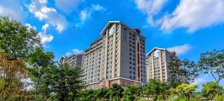 贵阳机场翼汇国际航空酒店(红飘带店)图片