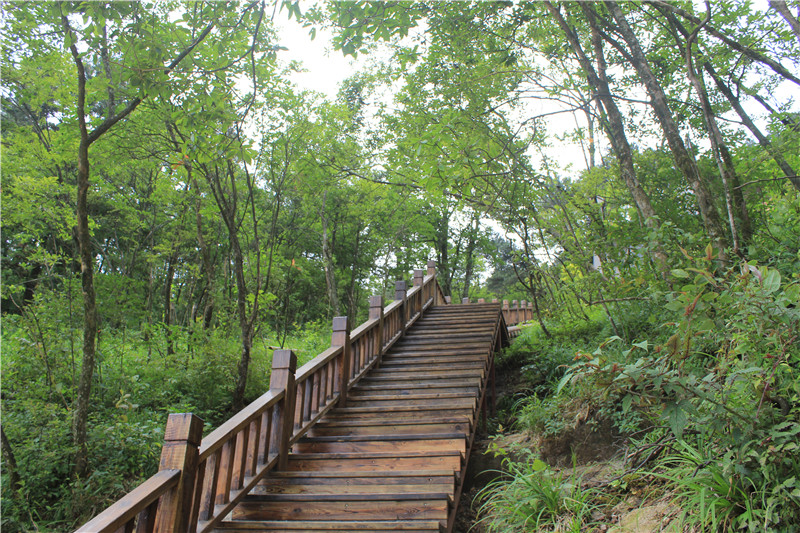 Wolongge CourtyardOver view