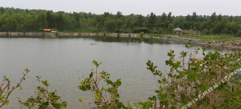 长春龙嘉机场田园酒店图片