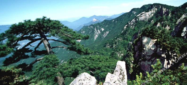 罗田兄弟驿站图片