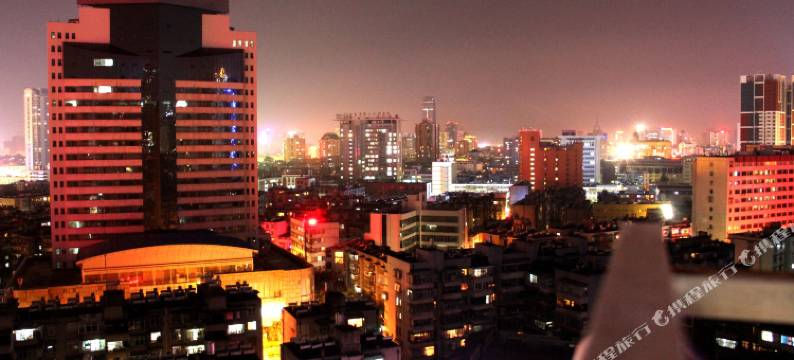 昆明流浪猫念夏火车站店图片