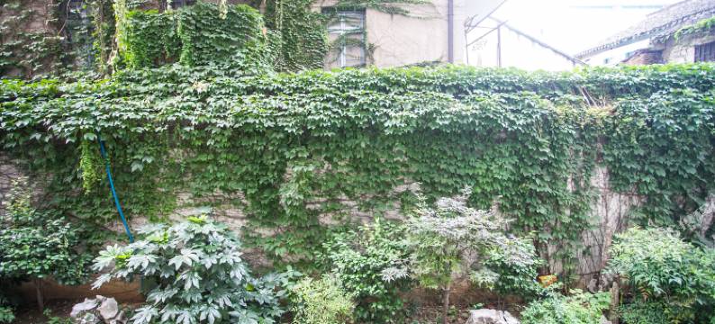 苏州嘘童时代青旅图片