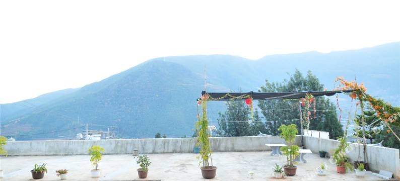 鸡足山竹笋庄园图片