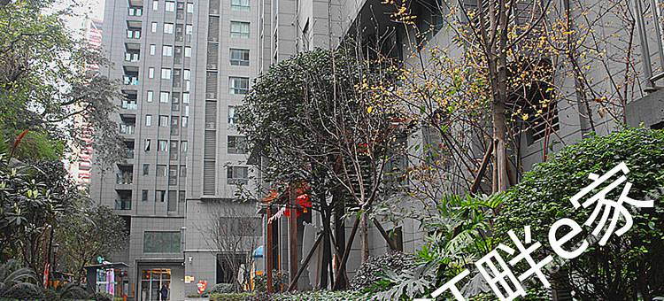 重庆江畔e家酒店公寓图片