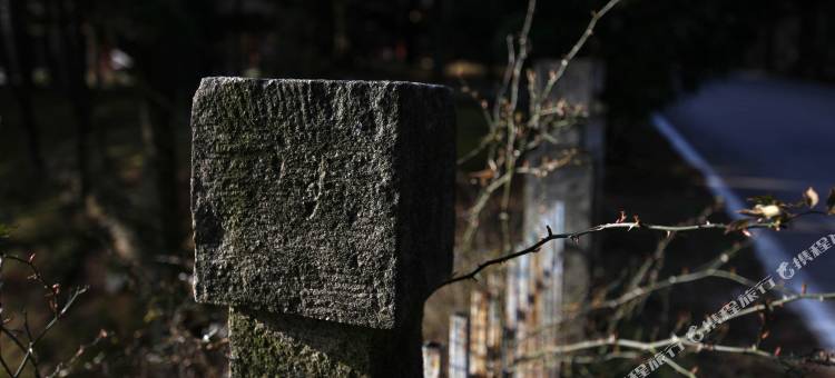 庐山龙浩假日酒店图片