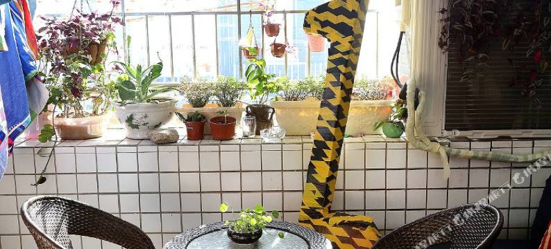 长颈鹿青年旅舍(深圳会展中心店)图片