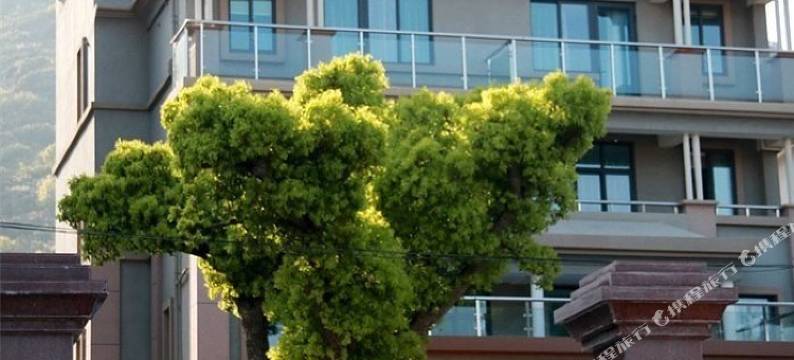 朱家尖王先生的花园酒店图片