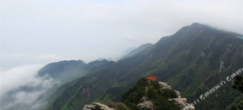 庐山陈阿姨家庭旅馆图片